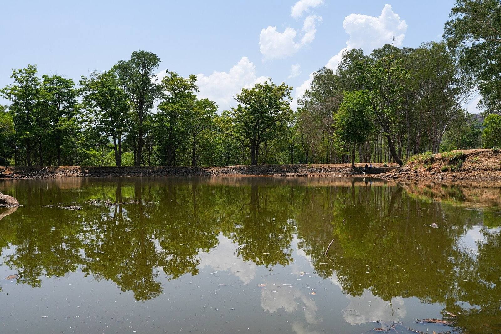 A temple tank surrounded by trees in Chamarajanagar