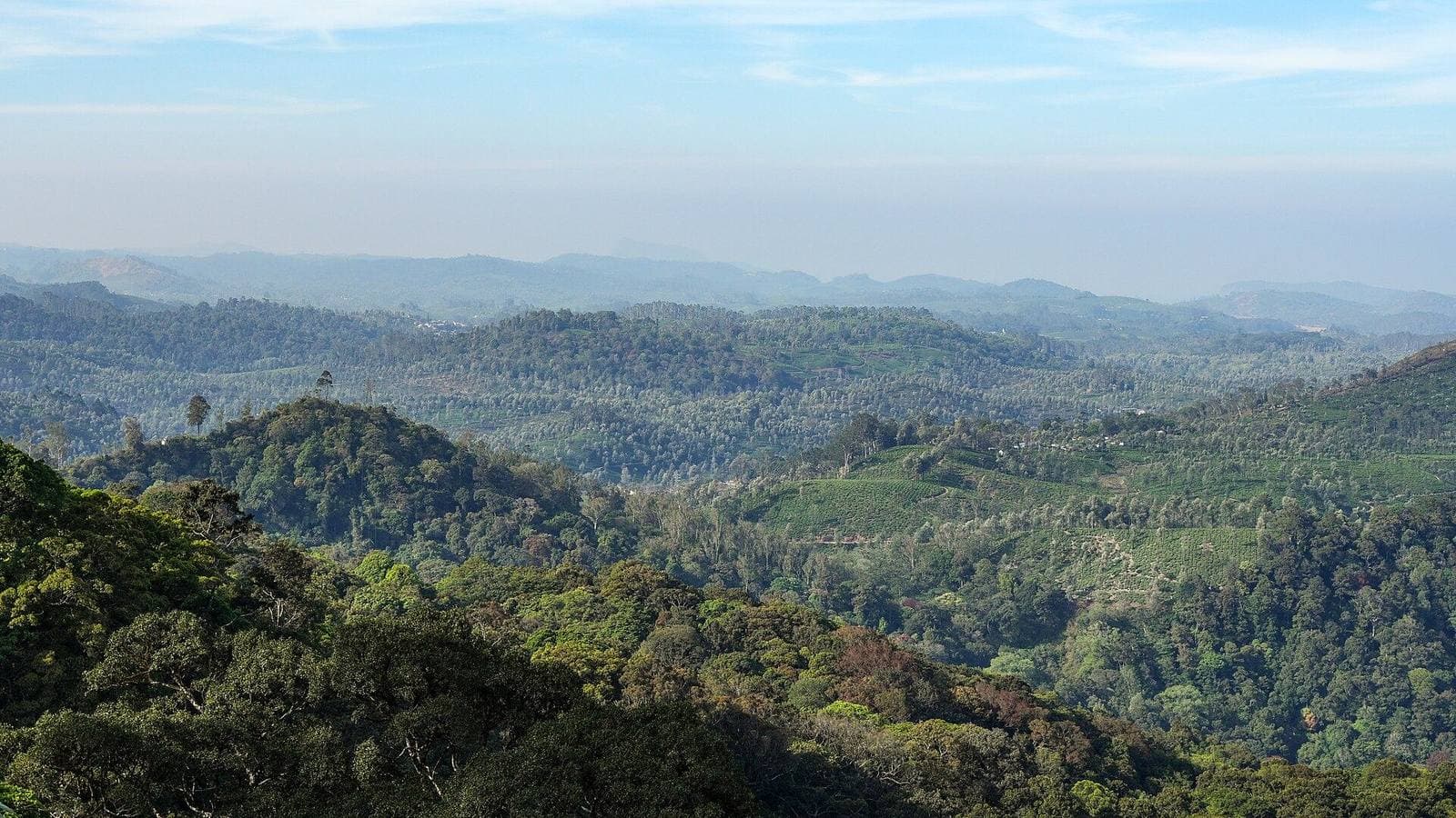The forested hills of the Western Ghats seen from near Coimbatore