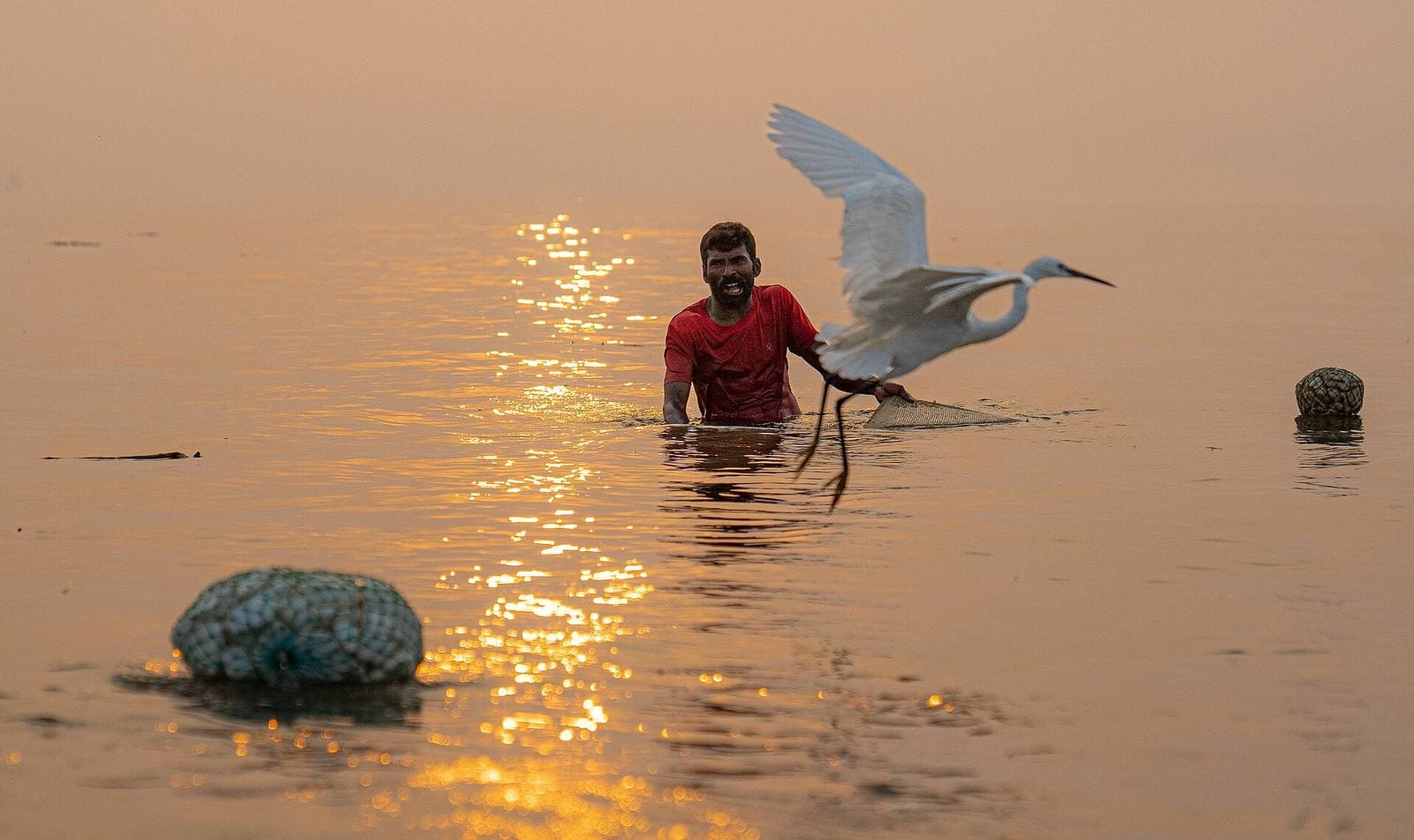 A fisherman and an egret in the sea at sunset, Kakinada