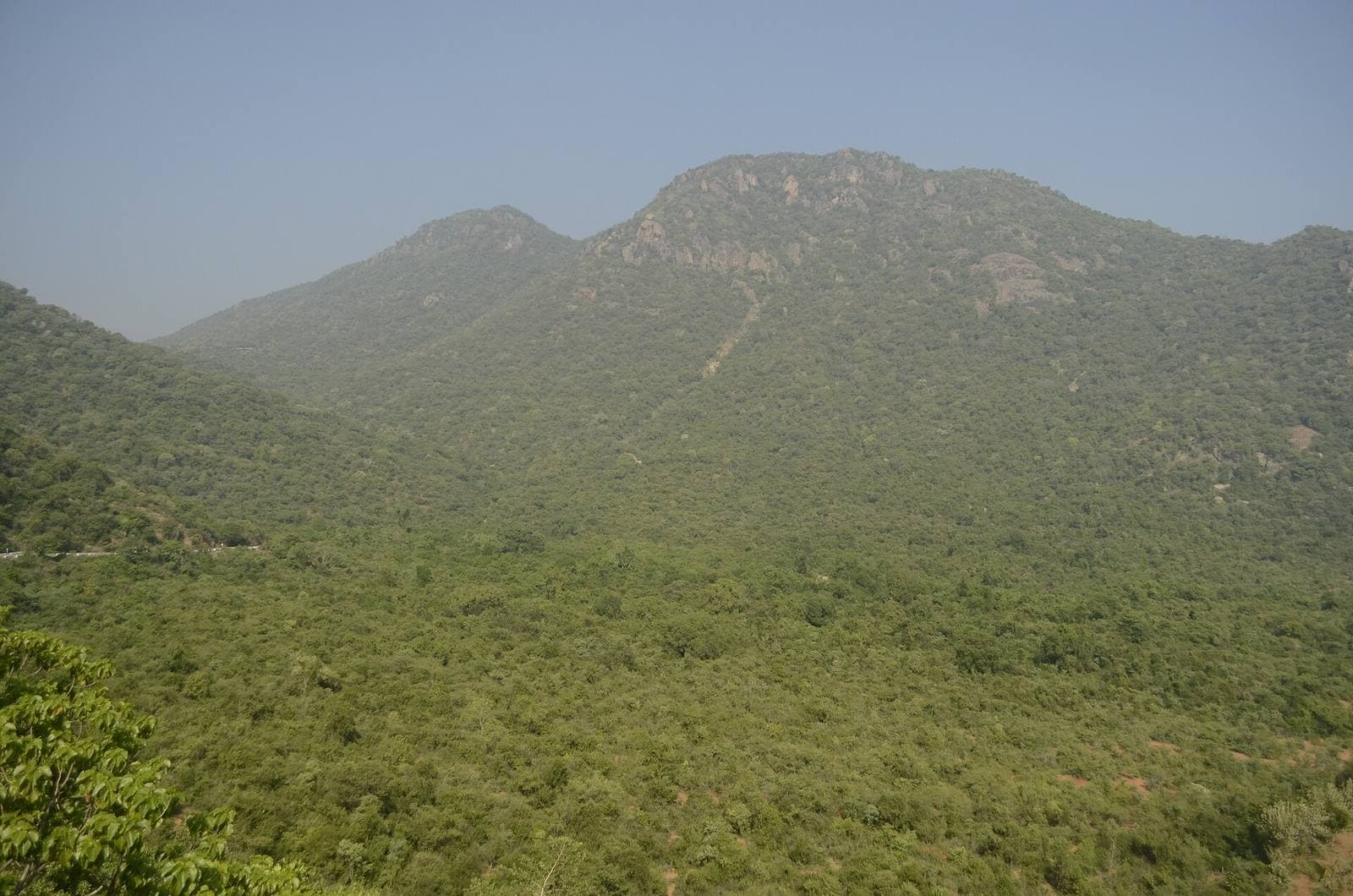 The forested slopes of the Kalvarayan Hills, Kallakurichi district
