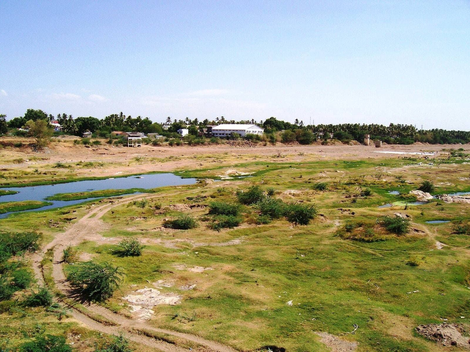 The Kaveri riverbed and grassland near Karur