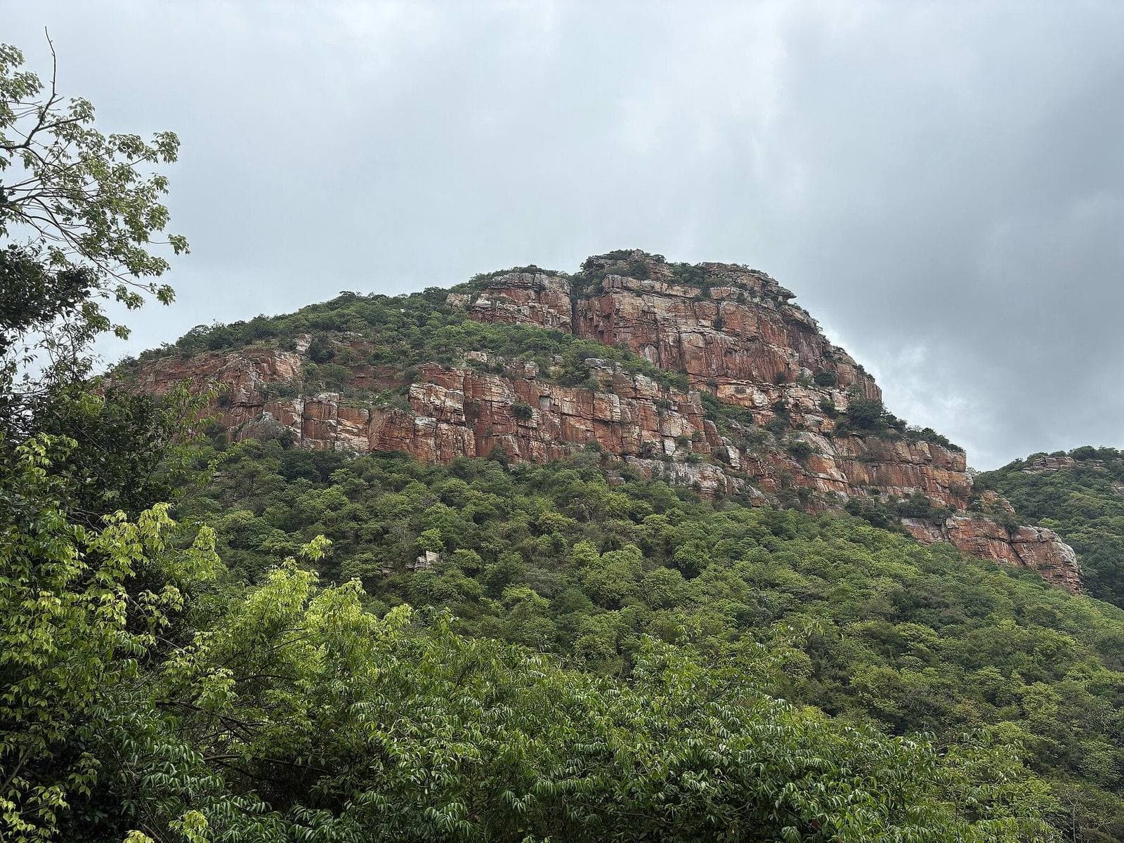 A forested hill with red rock faces near Nellore