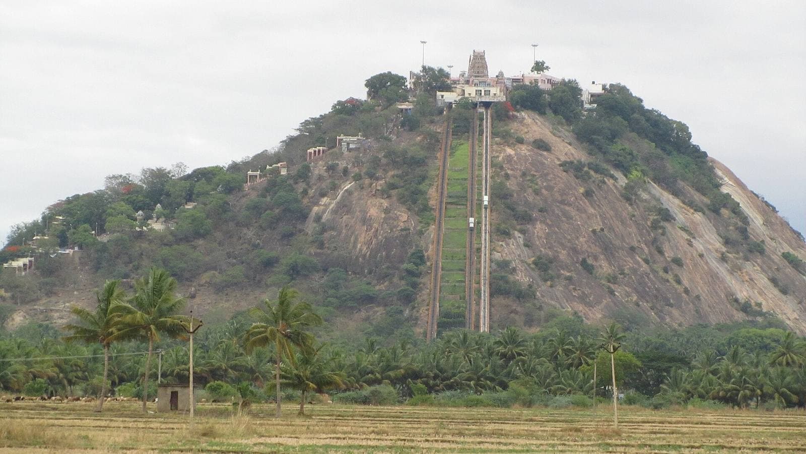 The hill of the Palani Murugan Temple with its winch track