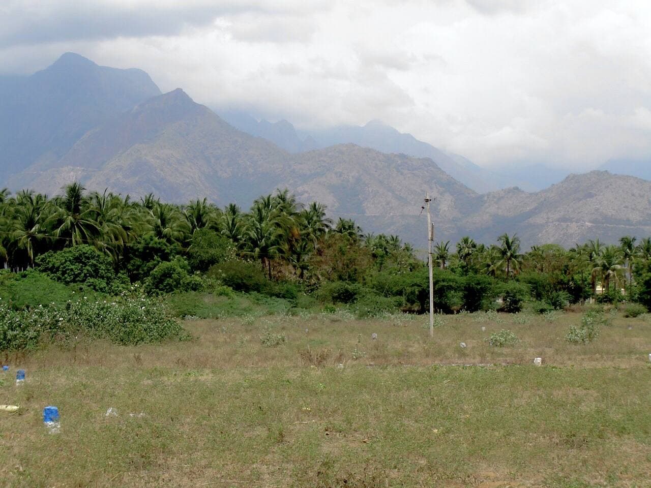 The Western Ghats rising above farmland near Theni