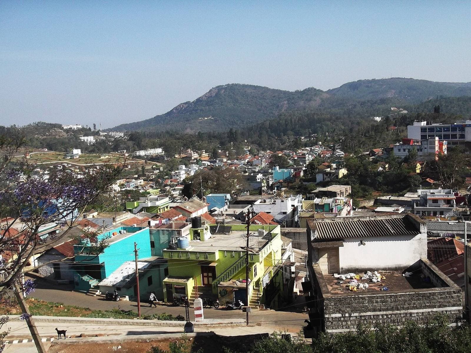 Yercaud town on the hillside of the Shevaroy Hills