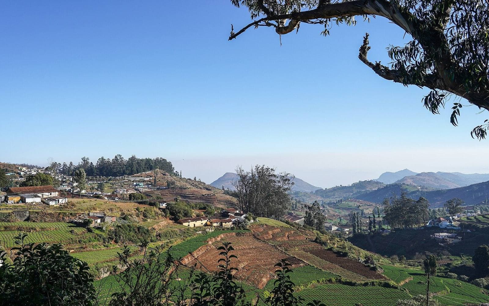 Hill farms and villages near Ooty in the Nilgiris
