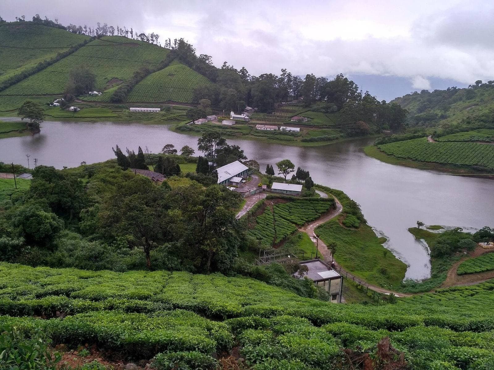Tea gardens and a reservoir in the Meghamalai hills of the Western Ghats