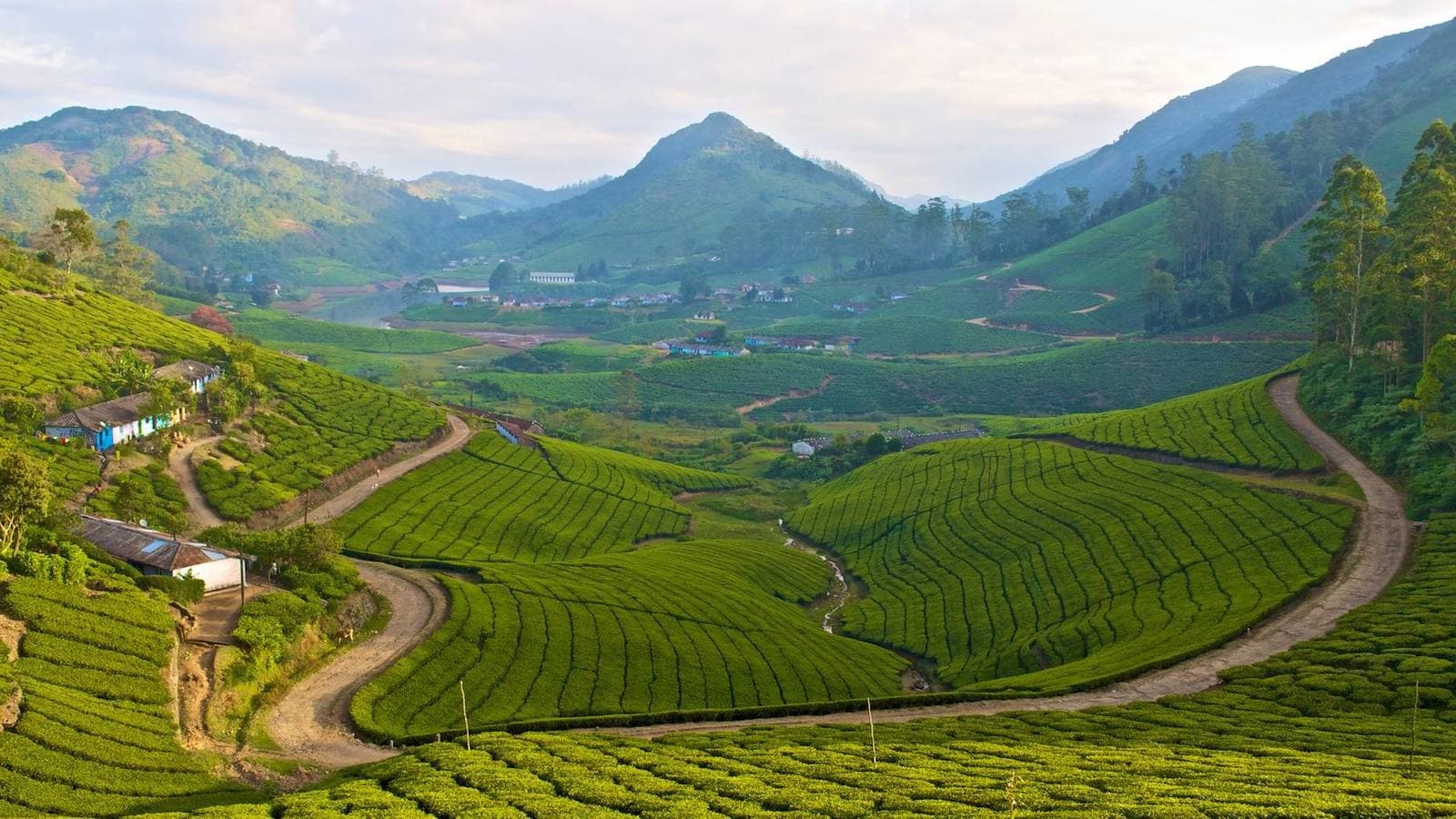 Tea estates and winding roads in the Meghamalai hills, Theni district